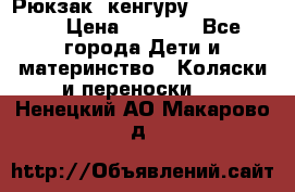 Рюкзак -кенгуру Baby Bjorn  › Цена ­ 2 000 - Все города Дети и материнство » Коляски и переноски   . Ненецкий АО,Макарово д.